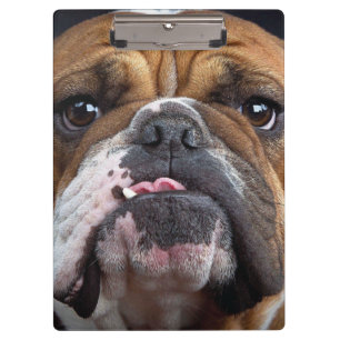English Bulldog Throw Pillow Clipboard