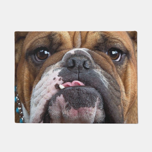English Bulldog  Throw Pillow Doormat (Front)