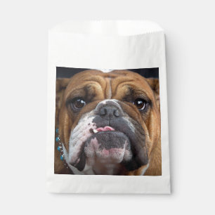 English Bulldog  Throw Pillow Favour Bags