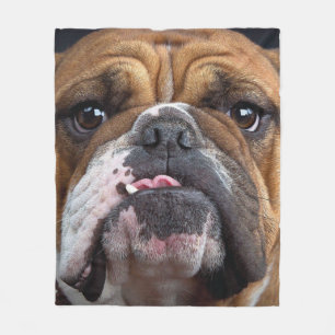 English Bulldog  Throw Pillow Fleece Blanket