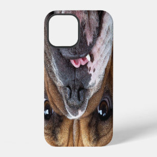 English Bulldog Throw Pillow iPhone 12 Case