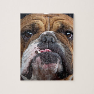 English Bulldog  Throw Pillow Jigsaw Puzzle