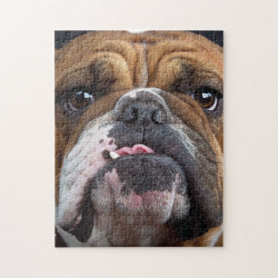 English Bulldog  Throw Pillow Jigsaw Puzzle