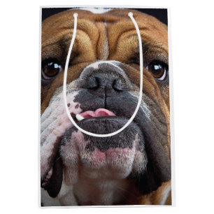 English Bulldog Throw Pillow Medium Gift Bag