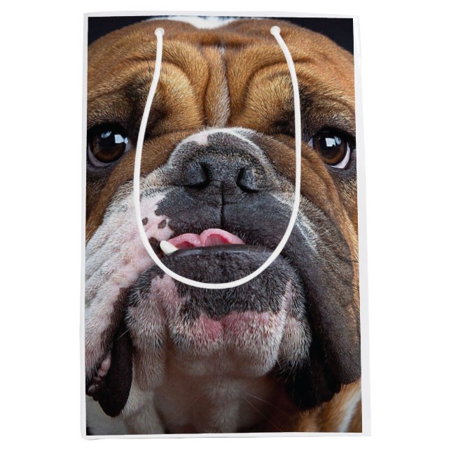 English Bulldog  Throw Pillow Medium Gift Bag (Front)