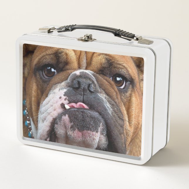 English Bulldog  Throw Pillow Metal Lunch Box (Front)