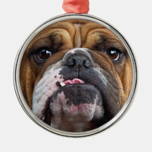 English Bulldog  Throw Pillow Metal Tree Decoration