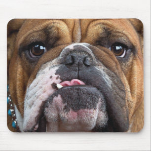 English Bulldog  Throw Pillow Mouse Mat