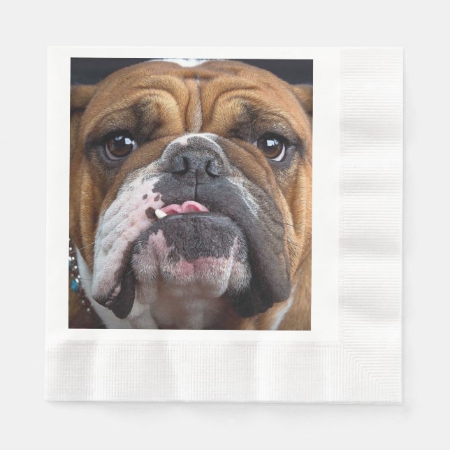 English Bulldog  Throw Pillow Napkin (Front)