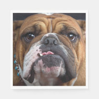 English Bulldog  Throw Pillow
