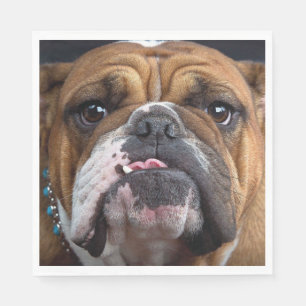 English Bulldog  Throw Pillow Napkin