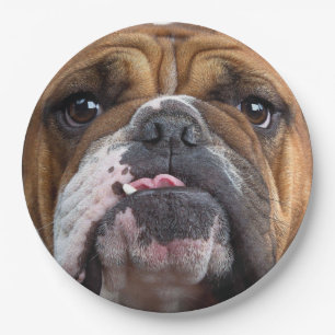 English Bulldog  Throw Pillow Paper Plate
