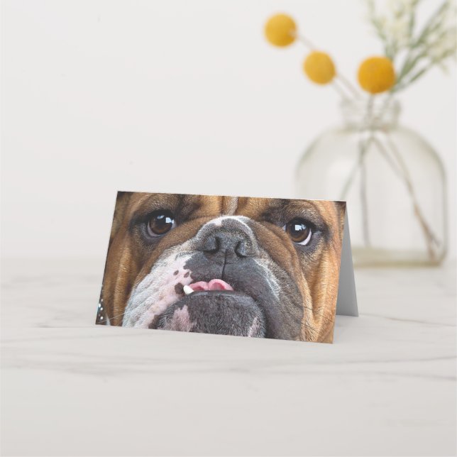 English Bulldog  Throw Pillow Place Card (Front)