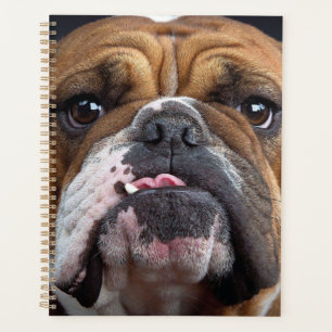 English Bulldog Throw Pillow Planner