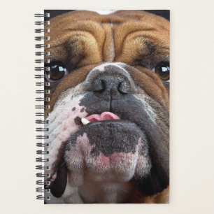 English Bulldog Throw Pillow Planner