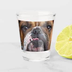 English Bulldog  Throw Pillow Shot Glass