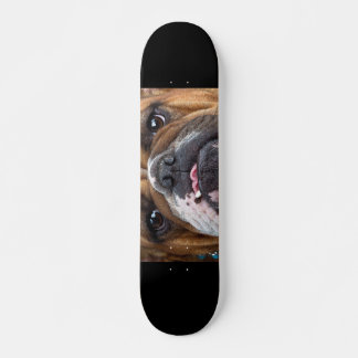 English Bulldog Throw Pillow Skateboard
