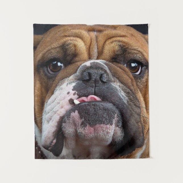 English Bulldog  Throw Pillow Tapestry (Front)
