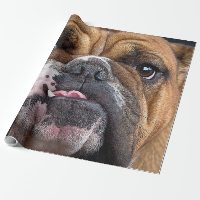 English Bulldog  Throw Pillow Wrapping Paper (Unrolled)