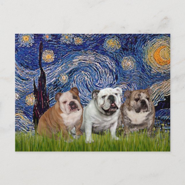 English Bulldog Trio - Starry Night Postcard (Front)