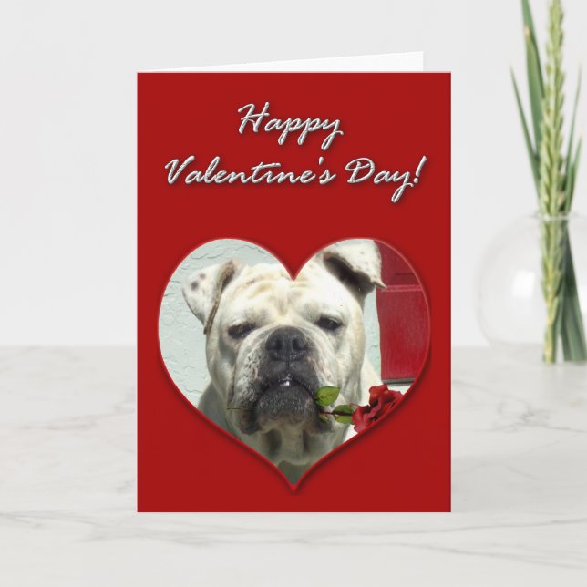 English Bulldog Valentines Day Card (Front)