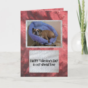 English bulldog Valentine's Day Card