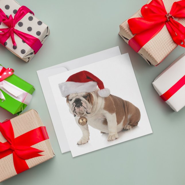 English Bulldog Wearing Santa Hat Holiday Card (Card on table)