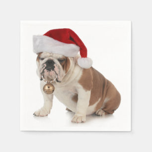 English Bulldog Wearing Santa Hat Napkin