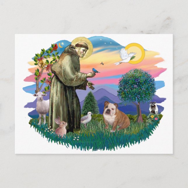 English Bulldog (white-brown) Postcard (Front)