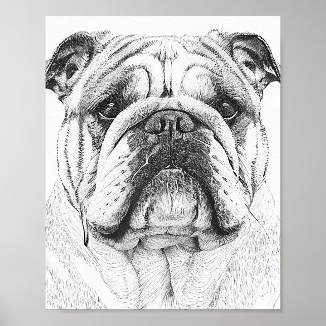 English Bulldog Wild Nature Animal Illustration Poster (Front)