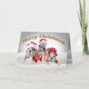 English Bulldog with kittensChristmas Cards