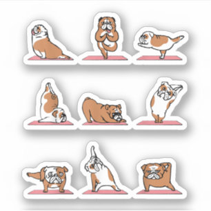 English Bulldog Yoga Puppy Yoga Poses and Meditati