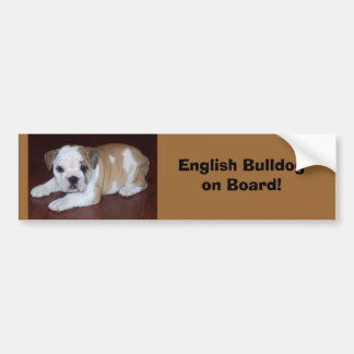 English Bulldogon Board! Bumper Sticker