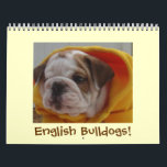 English Bulldogs Calendar! Calendar<br><div class="desc">Customise this calendar to start and end on whichever month and year you want! Perfect gift for the bulldog lover in your life!</div>