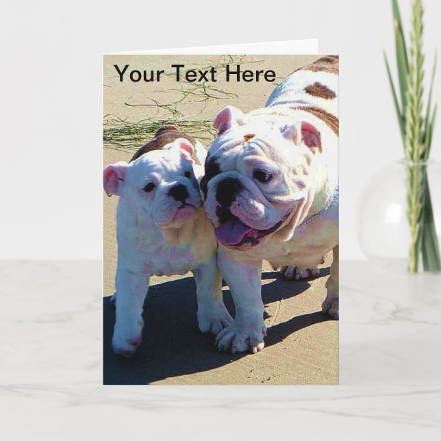 English Bulldogs Greeting Card (Front)