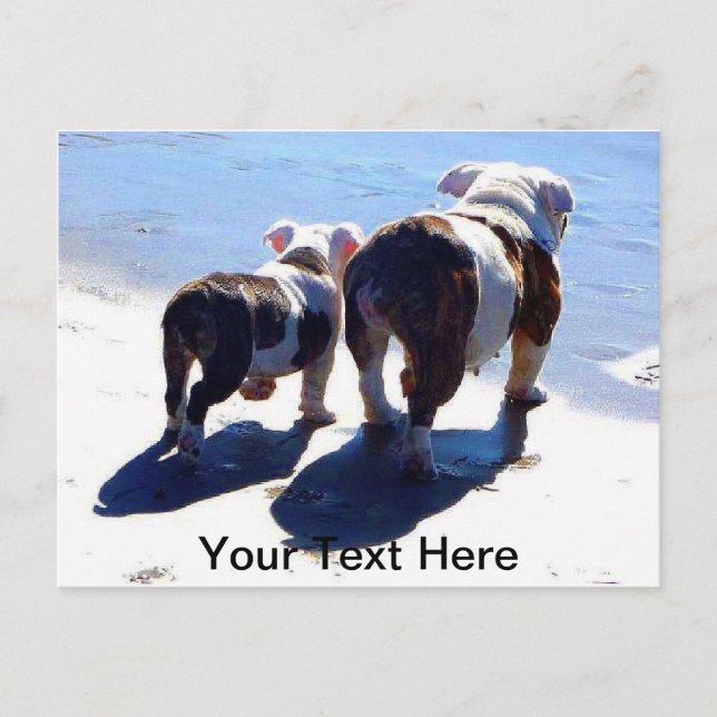 English Bulldogs Postcard (Front)