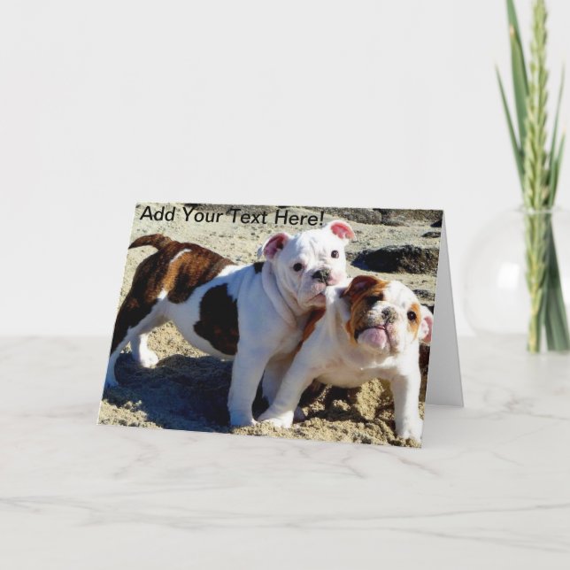 English Bulldogs Puppy Love! Card (Front)