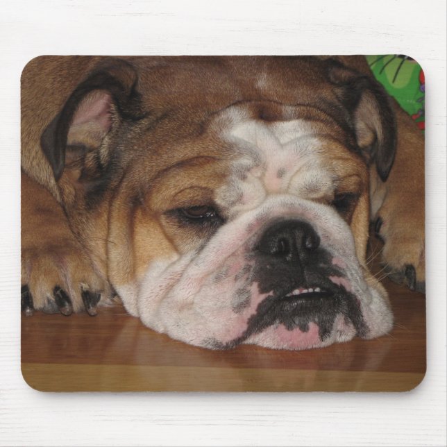 english bullie mouse mat (Front)
