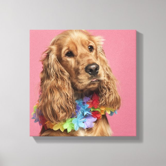 English Cocker Spaniel (10 months old) Canvas Print (Front)