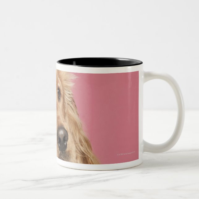 English Cocker Spaniel (10 months old) Two-Tone Coffee Mug (Right)