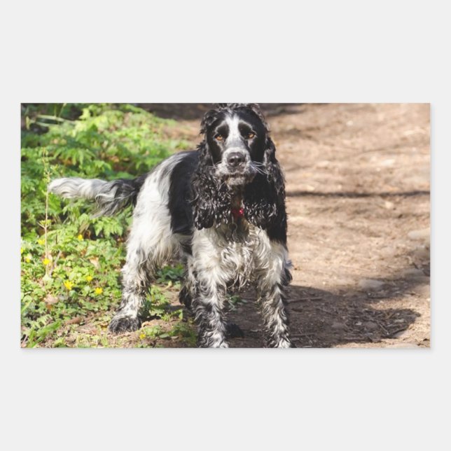 english cocker spaniel black roan full rectangular sticker (Front)