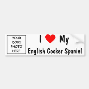 English Cocker Spaniel Bumper Sticker