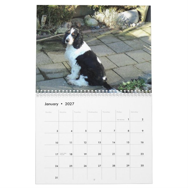 english cocker spaniel calendar (Jan 2027)