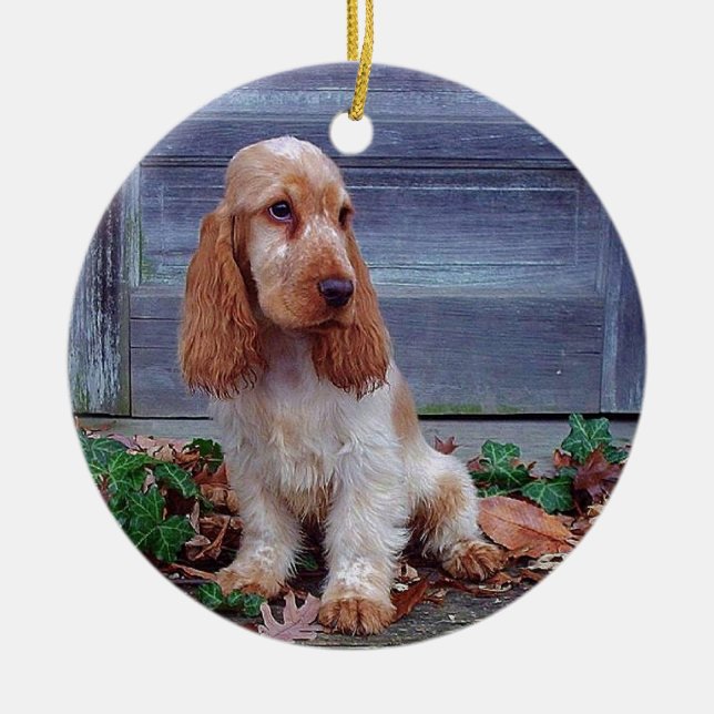 English Cocker Spaniel Ceramic Tree Decoration (Front)
