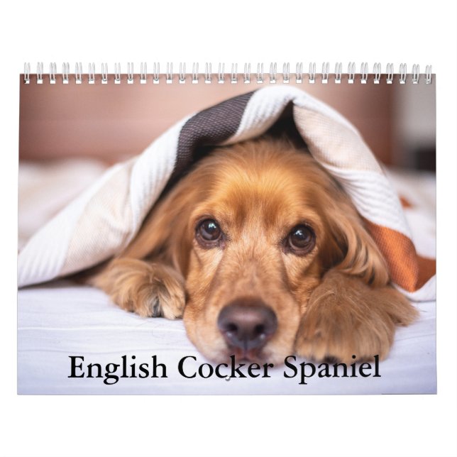 English Cocker Spaniel Dog Calendar (Cover)