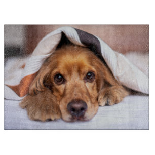English Cocker Spaniel Dog Cutting Board