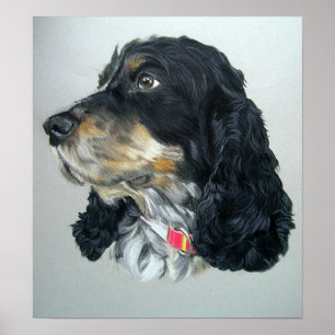 English Cocker Spaniel Dog Poster