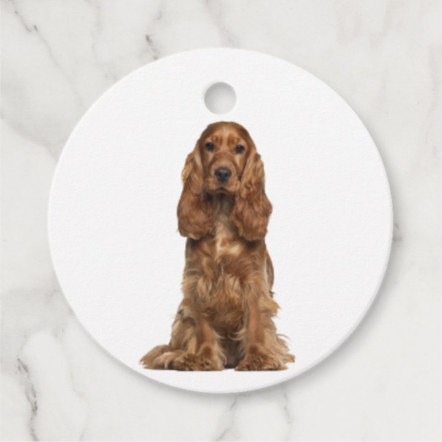 English Cocker Spaniel | Favour Tags (Front)