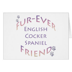 English Cocker Spaniel Furever