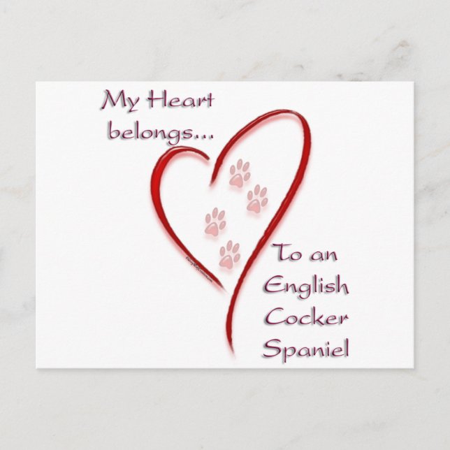 English Cocker Spaniel Heart Belongs Postcard (Front)